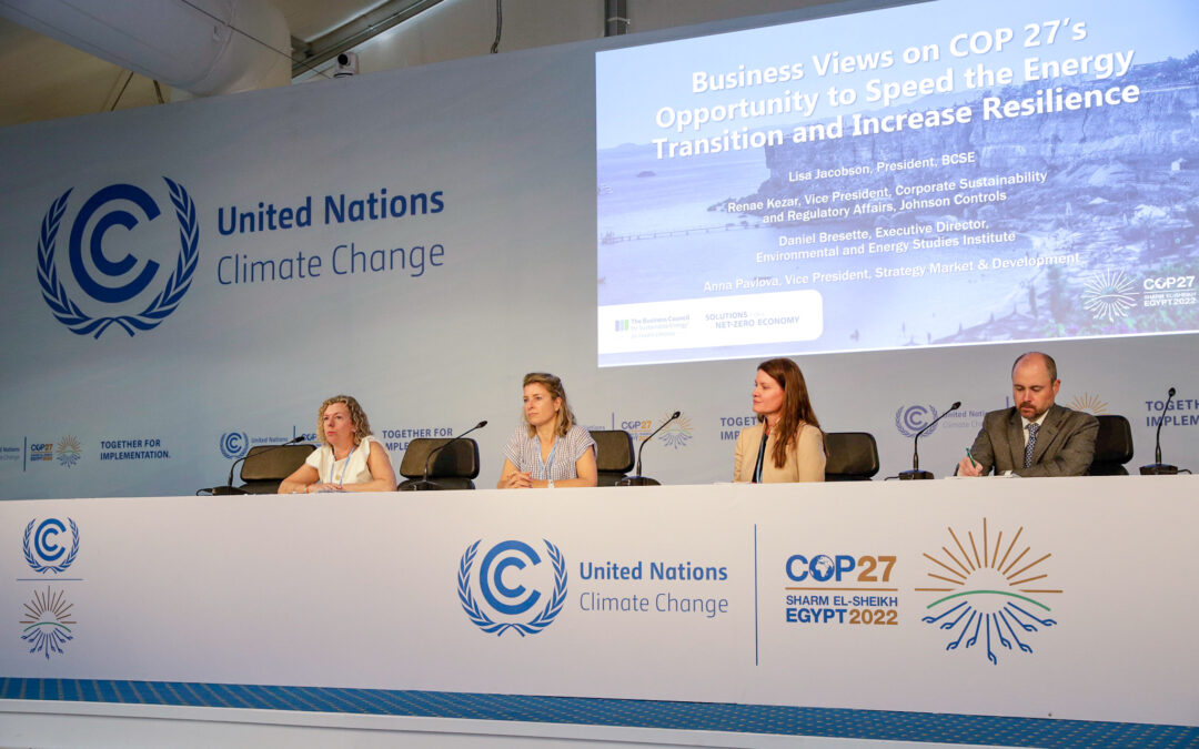 COP 27 Reflections: Partnership as the Keystone to Success