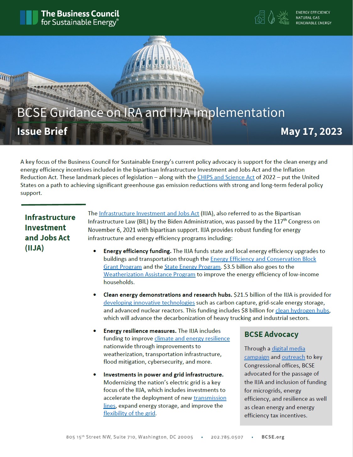 Iija Example Member Issue Briefs - The Business of Sustainable Energy