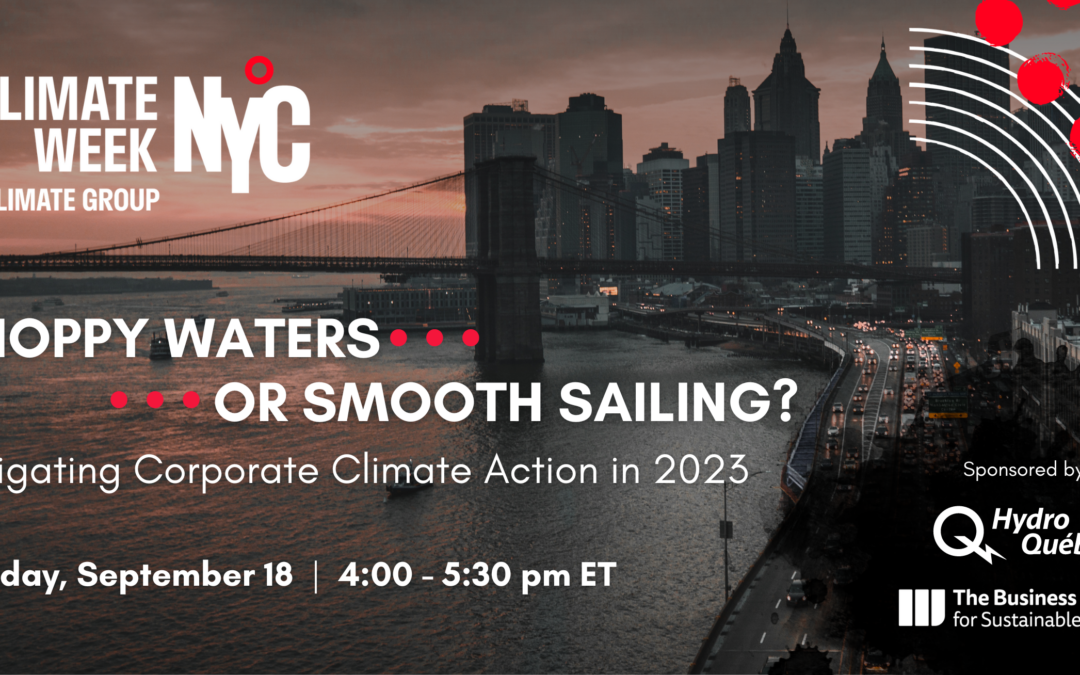 Choppy Waters or Smooth Sailing? Navigating Corporate Climate Action in 2023