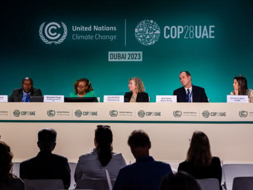 BCSE Reflections: Charting the Energy Transition Forward From COP 28