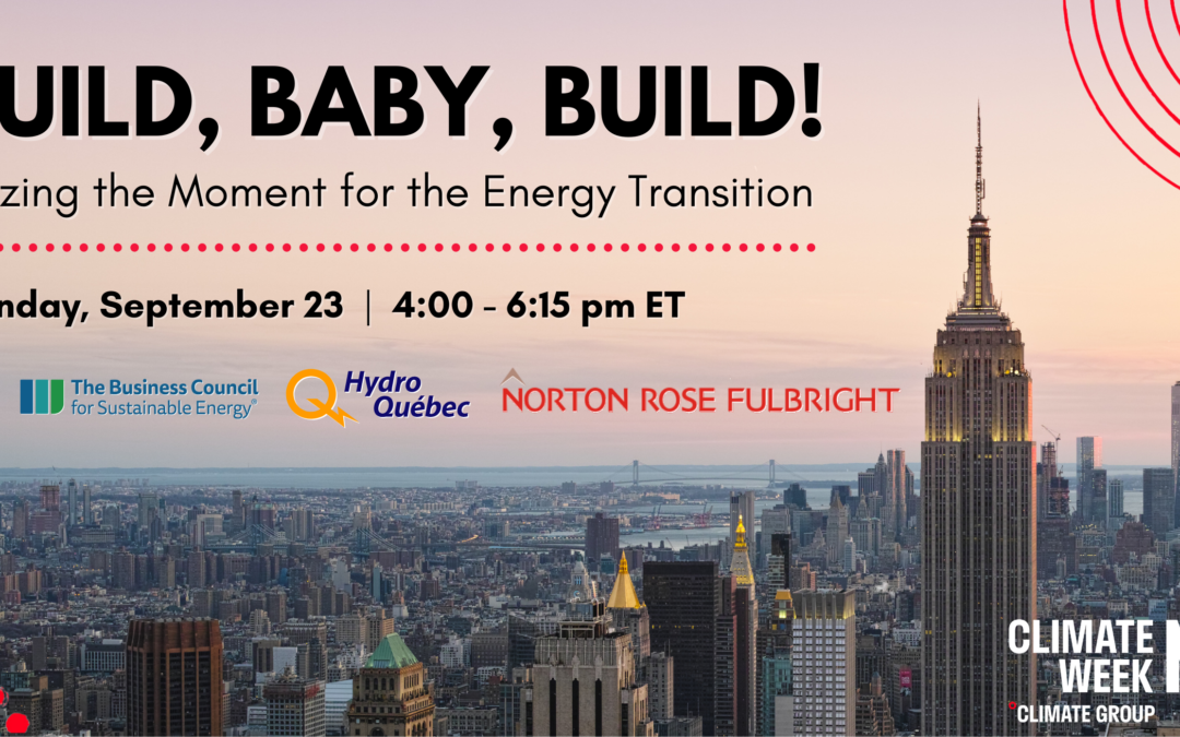 Build, Baby, Build! Seizing the Moment for the Energy Transition