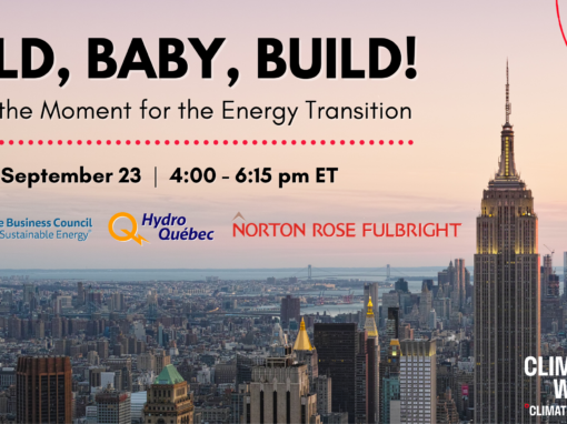 Build, Baby, Build! Seizing the Moment for the Energy Transition