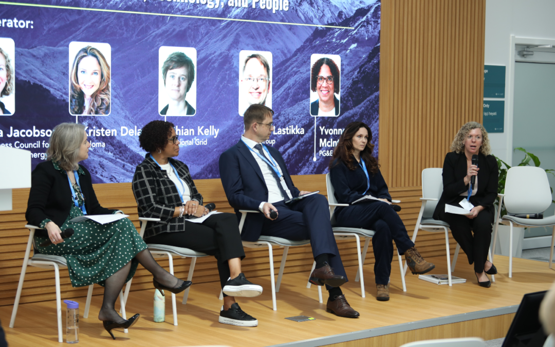 Advancing the Energy Transition Towards 2030: Finance, Technology, and People