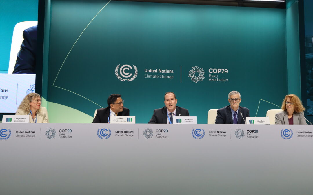 BCSE Reflections: Growing Investment Through Partnerships at COP 29