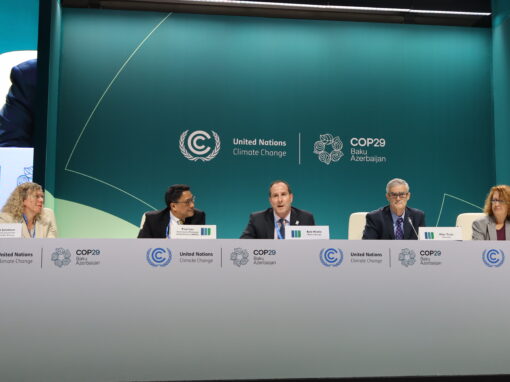 BCSE Reflections: Growing Investment Through Partnerships at COP 29