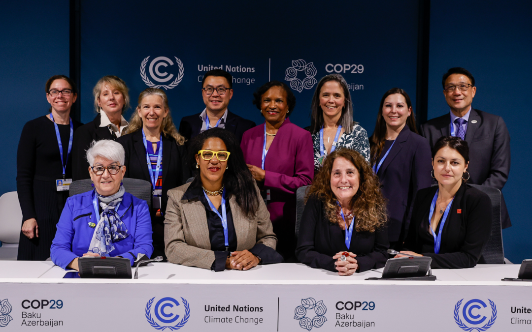 Showcasing Subnational and Private Sector Solutions to Achieve Equity, Efficiency, and Clean Energy Goals