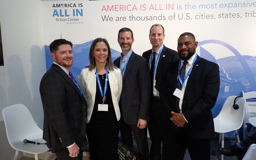 Rethinking Decision-Making in Sustainable Energy Investments