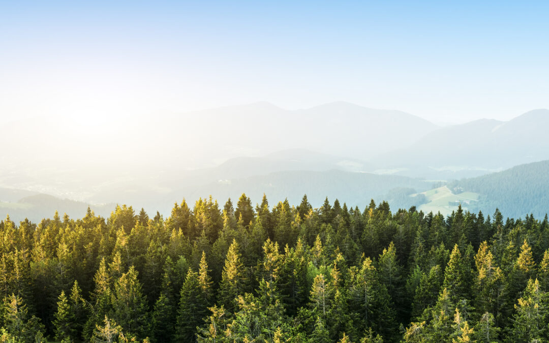 BCSE Calls for Strengthened Market-Based Accounting Options in Greenhouse Gas Protocol Revisions
