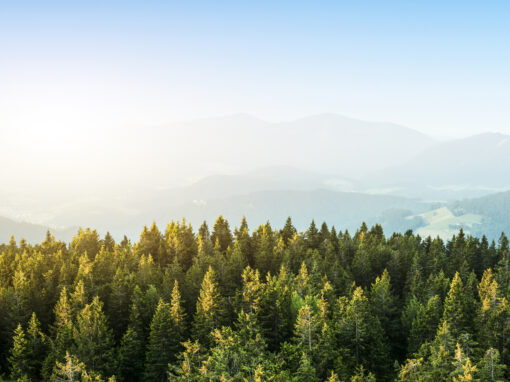 BCSE Calls for Strengthened Market-Based Accounting Options in Greenhouse Gas Protocol Revisions