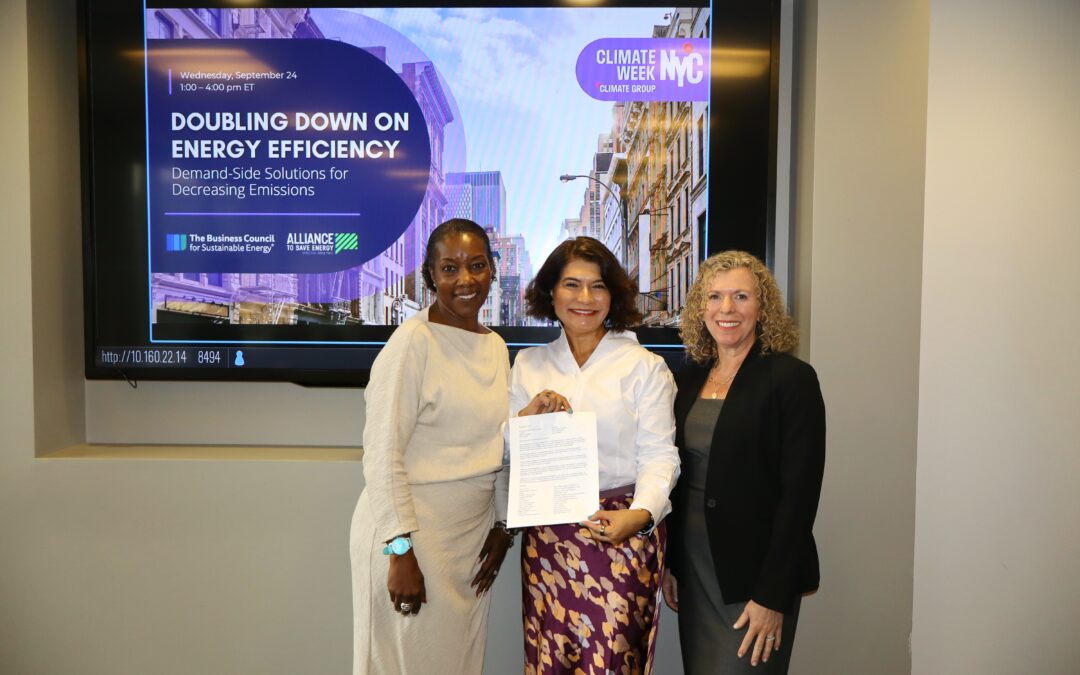 Doubling Down on Energy Efficiency: Demand-Side Solutions for Decreasing Emissions