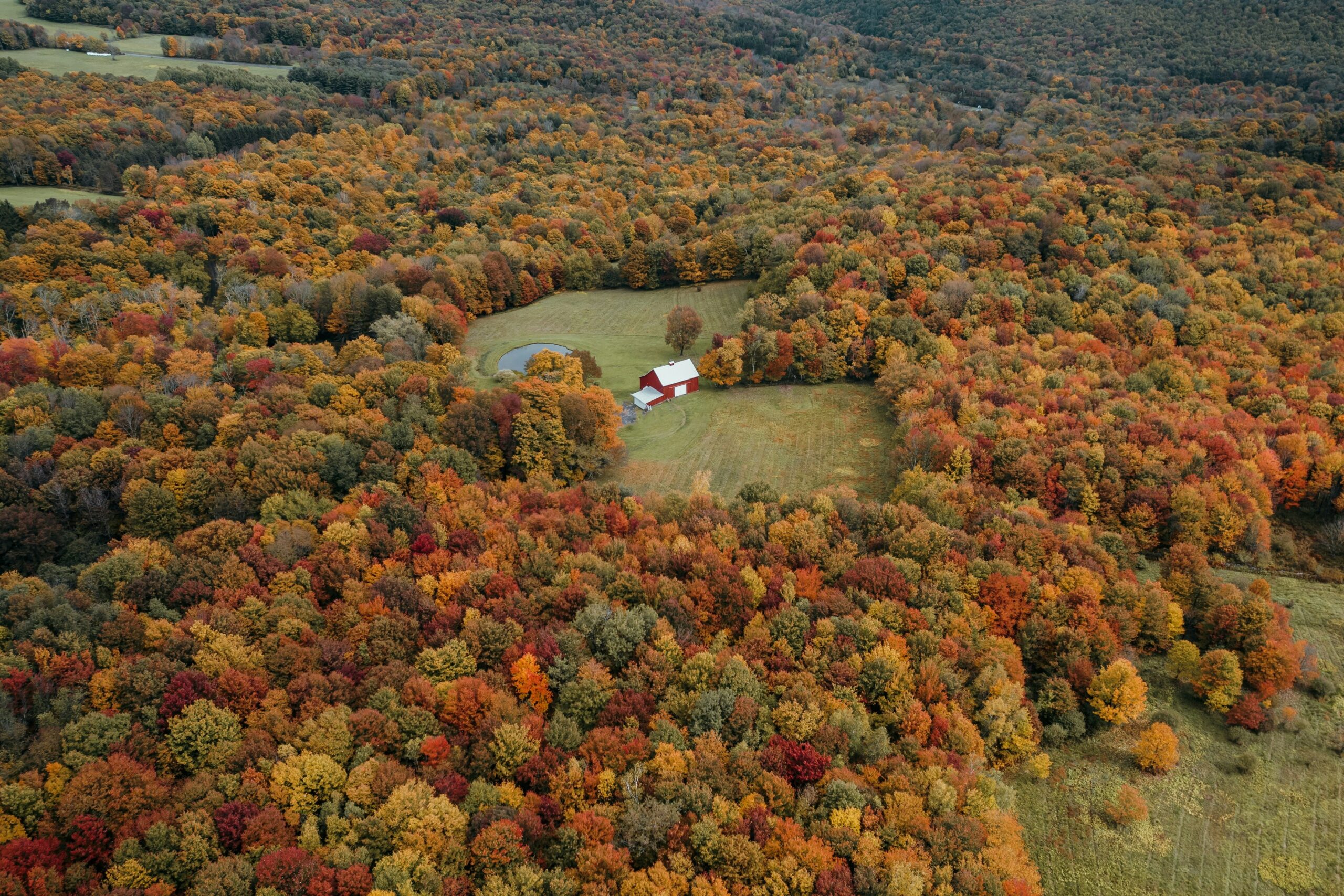 Catskill Mountains, NY (clay-banks-7MVUfQLSpiA-unsplash)
