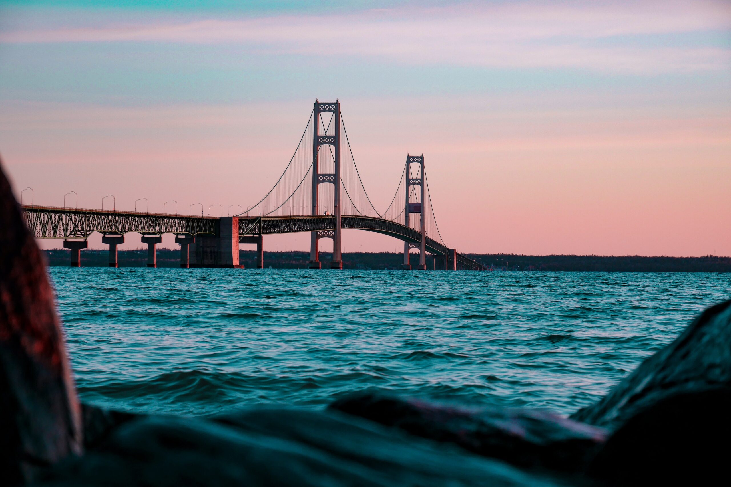 Michigan State Banner cropped