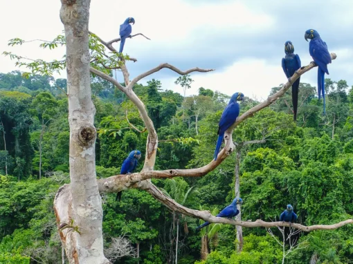 Powering Prosperity: Grid Upgrades for the Community, Economy, and Climate