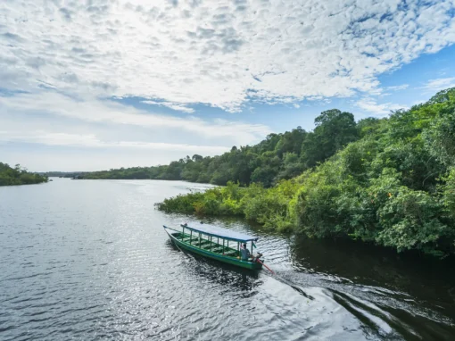 Powering Progress: Scaling Sustainable Energy Solutions for 2030