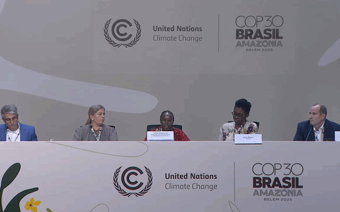 Committing to the Global Energy Efficiency Goal