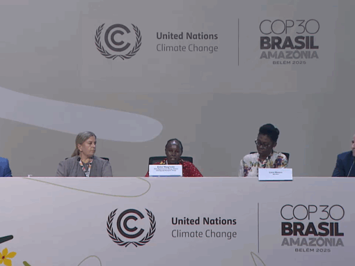 Committing to the Global Energy Efficiency Goal