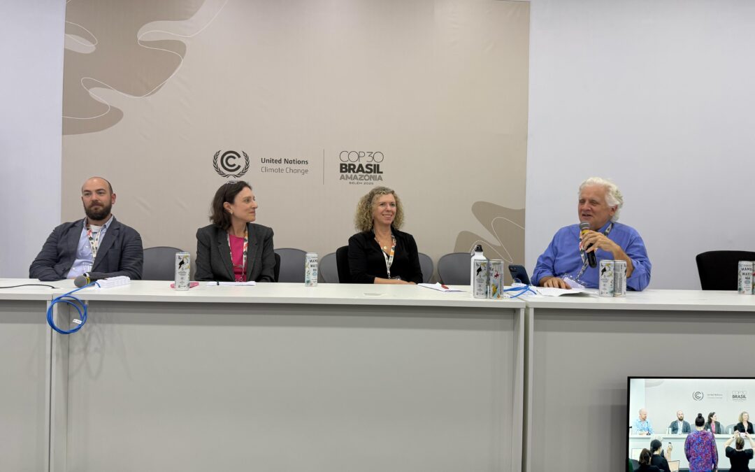 Views of the United States: Domestic and International