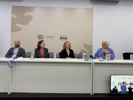 Views of the United States: Domestic and International