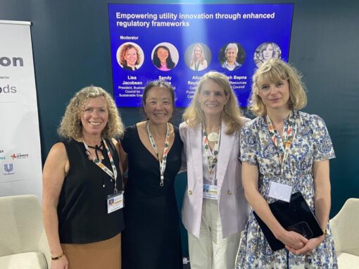 Empowering Utility Innovation Through Enhanced Regulatory Frameworks