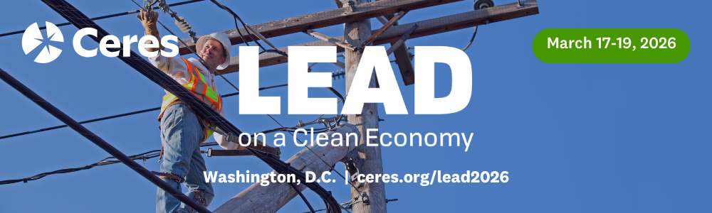 LEAD on a Clean Economy