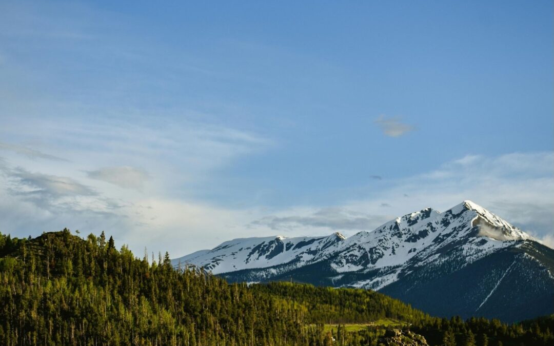 2026 Is the Year of Energy Abundance