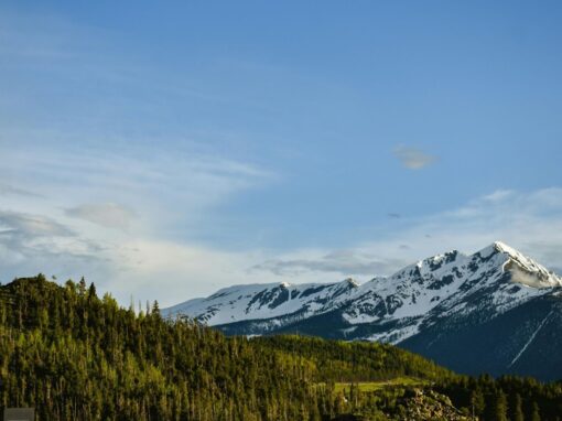 2026 Is the Year of Energy Abundance