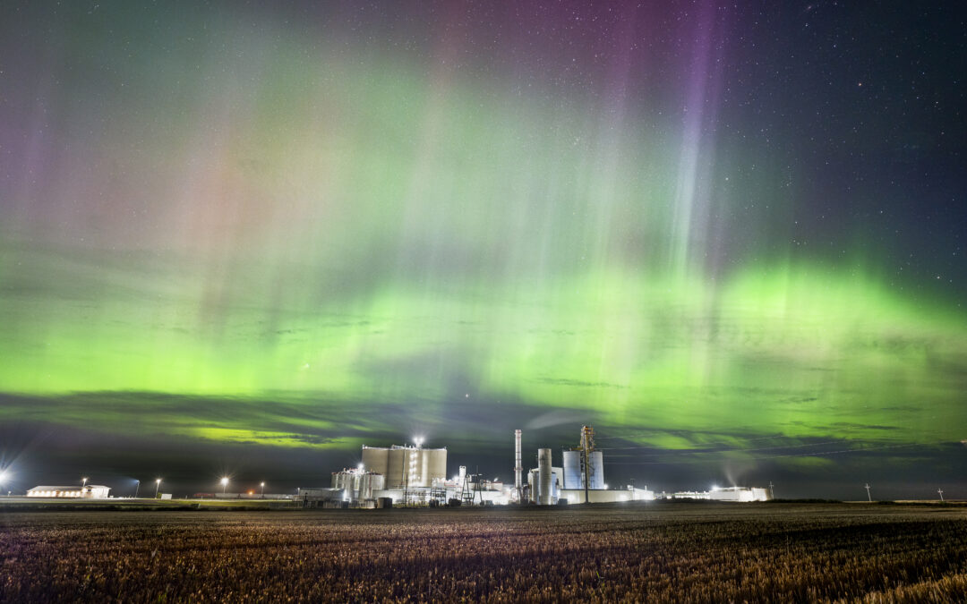 The Intersection of Rising Demand for Renewable Fuels and for Carbon Removal
