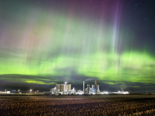 The Intersection of Rising Demand for Renewable Fuels and for Carbon Removal