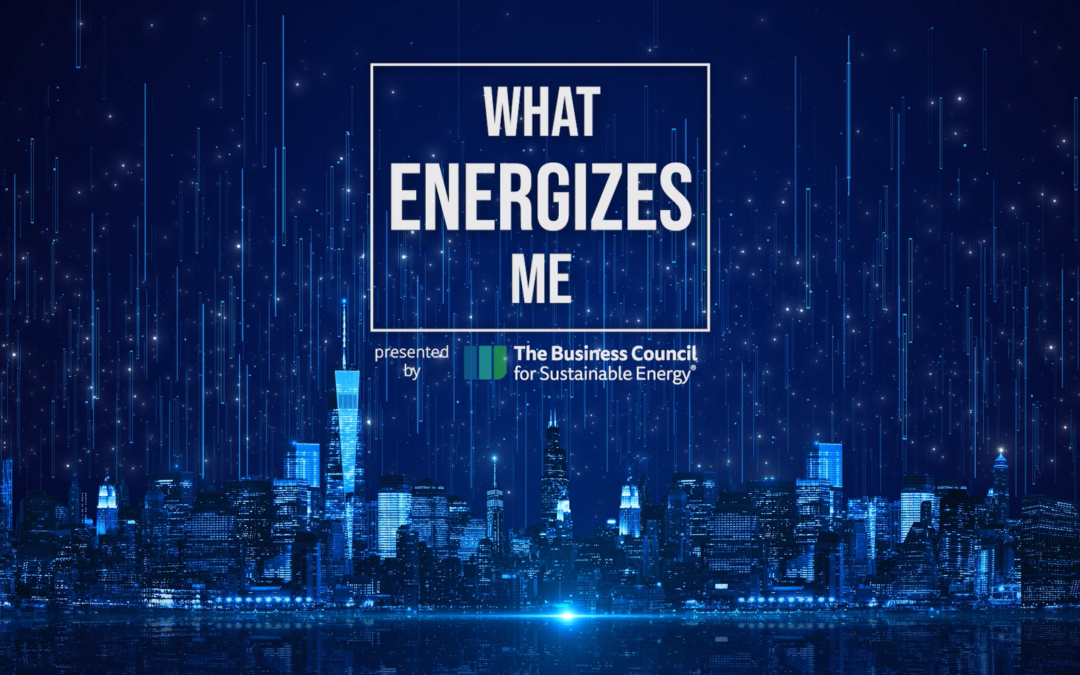 What Energizes Me: Carbonvert on Carbon Capture and Storage