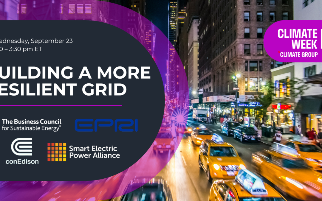 Building a More Resilient Grid: Global Perspectives on Extreme Weather and Energy Resilience